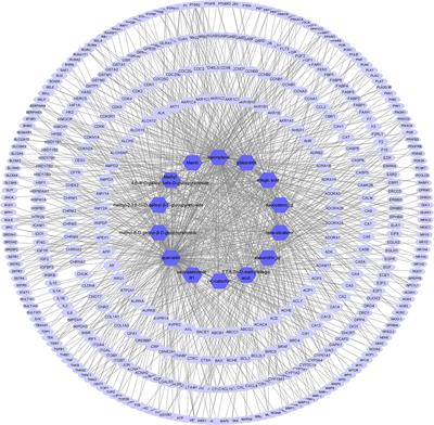 Network Pharmacology and Transcriptomic Sequencing Analyses Reveal the Molecular Mechanism of Sanguisorba officinalis Against Colorectal Cancer